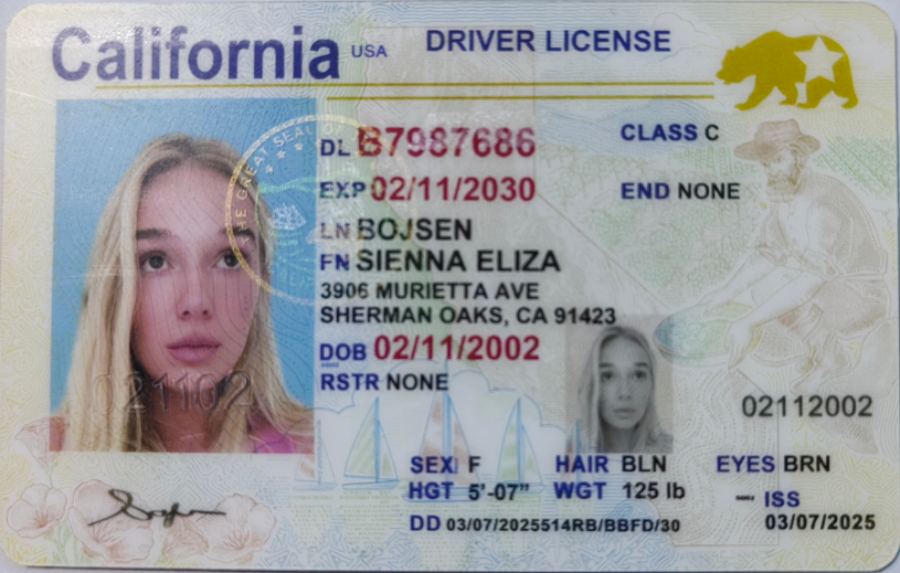 Alabama ID - usa al Fake ID